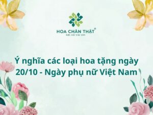 Ý nghĩa các loại hoa tặng ngày 20/10 - Ngày phụ nữ Việt Nam