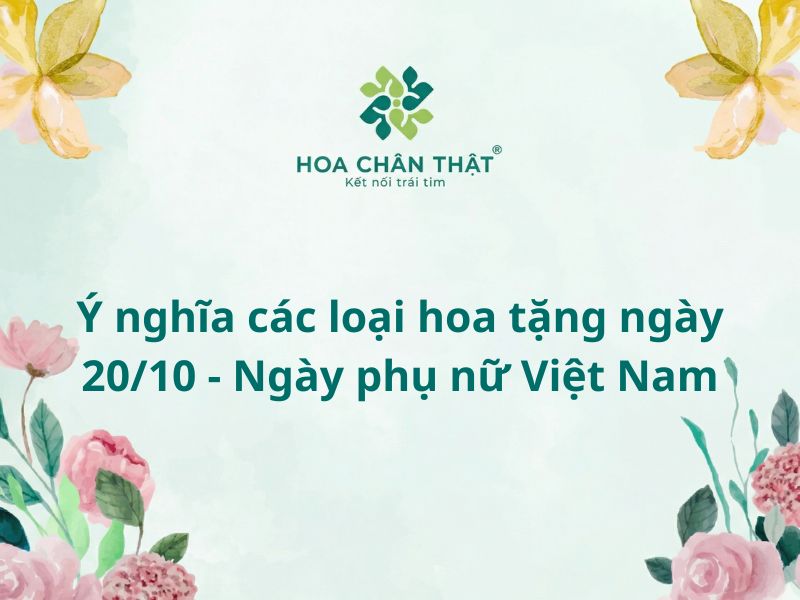 Ý nghĩa các loại hoa tặng ngày 20/10 - Ngày phụ nữ Việt Nam