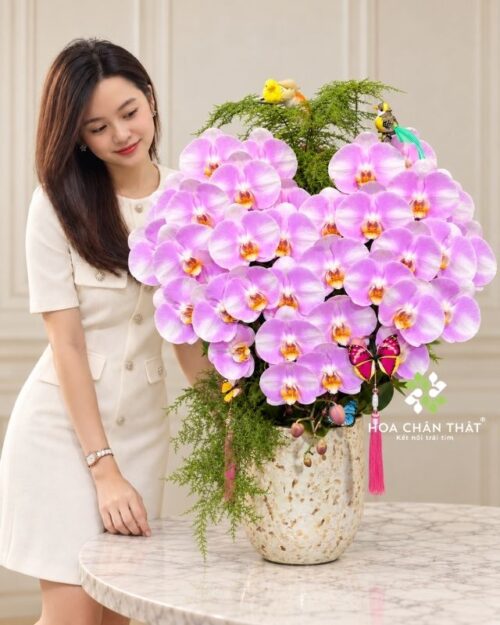 Chậu lan hồ điệp 5 cành hồng hình trái tim – Hạnh Phúc Viên Mãn