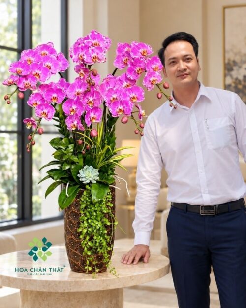 Chậu lan hồ điệp 6 cành hồng bản đồ – Cát Tường Vạn Sự