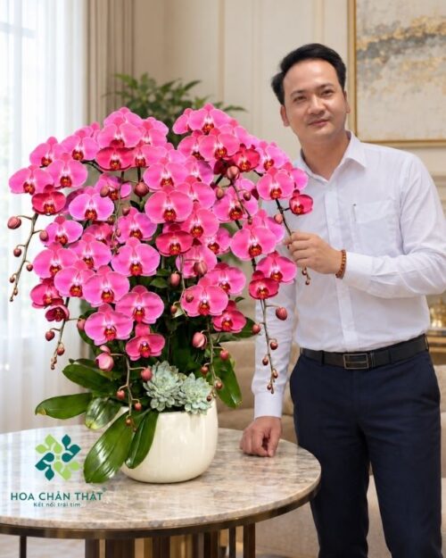 Chậu lan hồ điệp 9 cành hồng phấn – Hồng Phúc An Khang