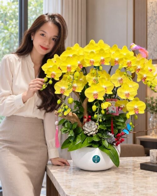 Chậu lan hồ điệp ghép lũa 8 cành vàng – Cát Tường Đắc Lộc