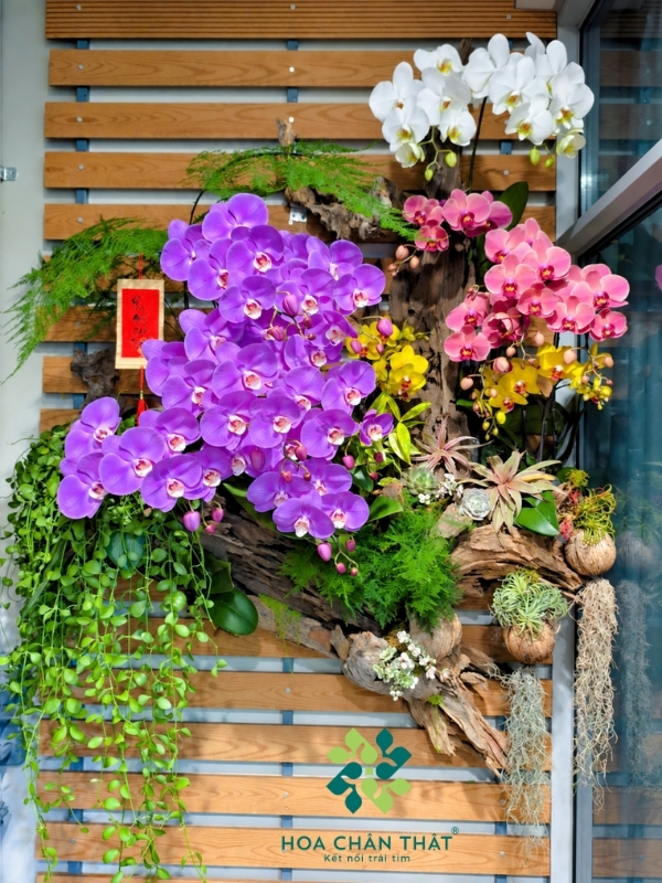 Thiết kế hoa lan ban công chung cư