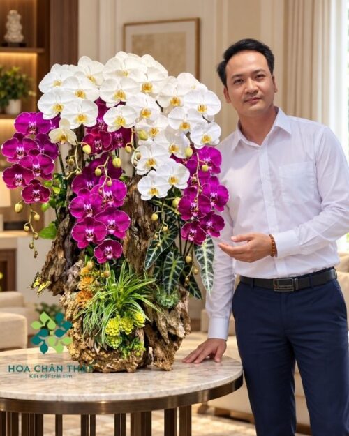Lan hồ điệp ghép lũa 8 cành – Phúc Lộc Trường An
