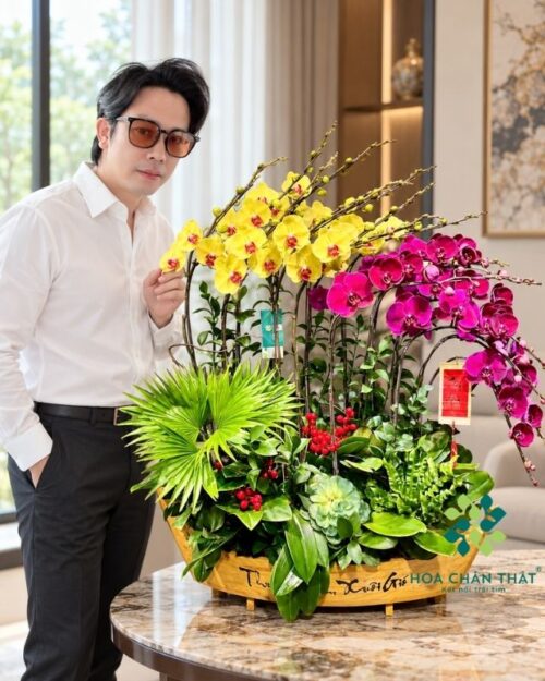 Thuyền lan hồ điệp 17 cành vàng tím – Thuận Buồm Xuôi Gió