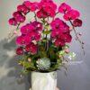 chậu lan hồ điệp đỏ cherry 5 cành – Hương Sắc Tri Ân